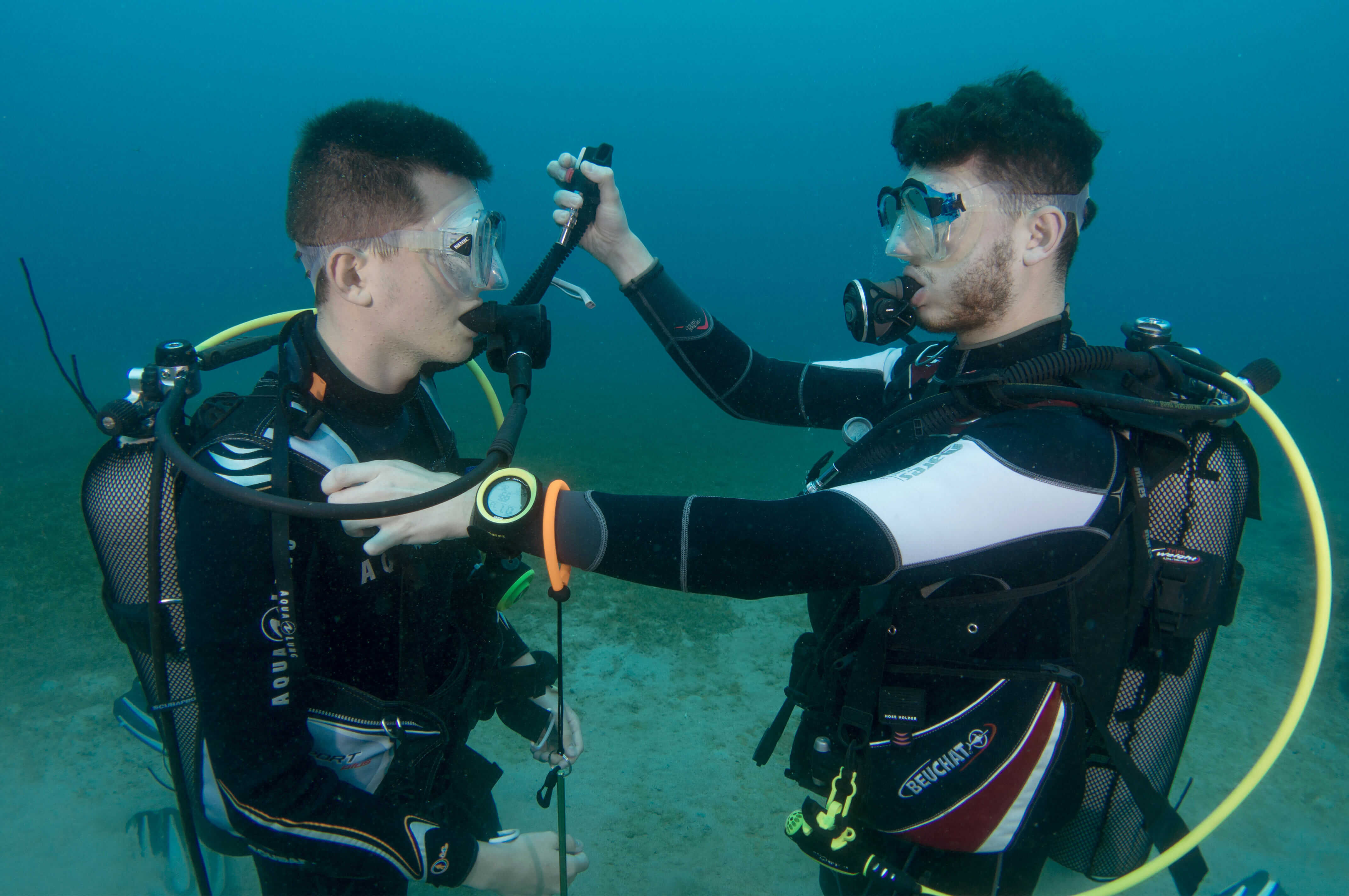 United Divers Egypt Safaga Formation Loisir FFESSM / CMAS / PADI