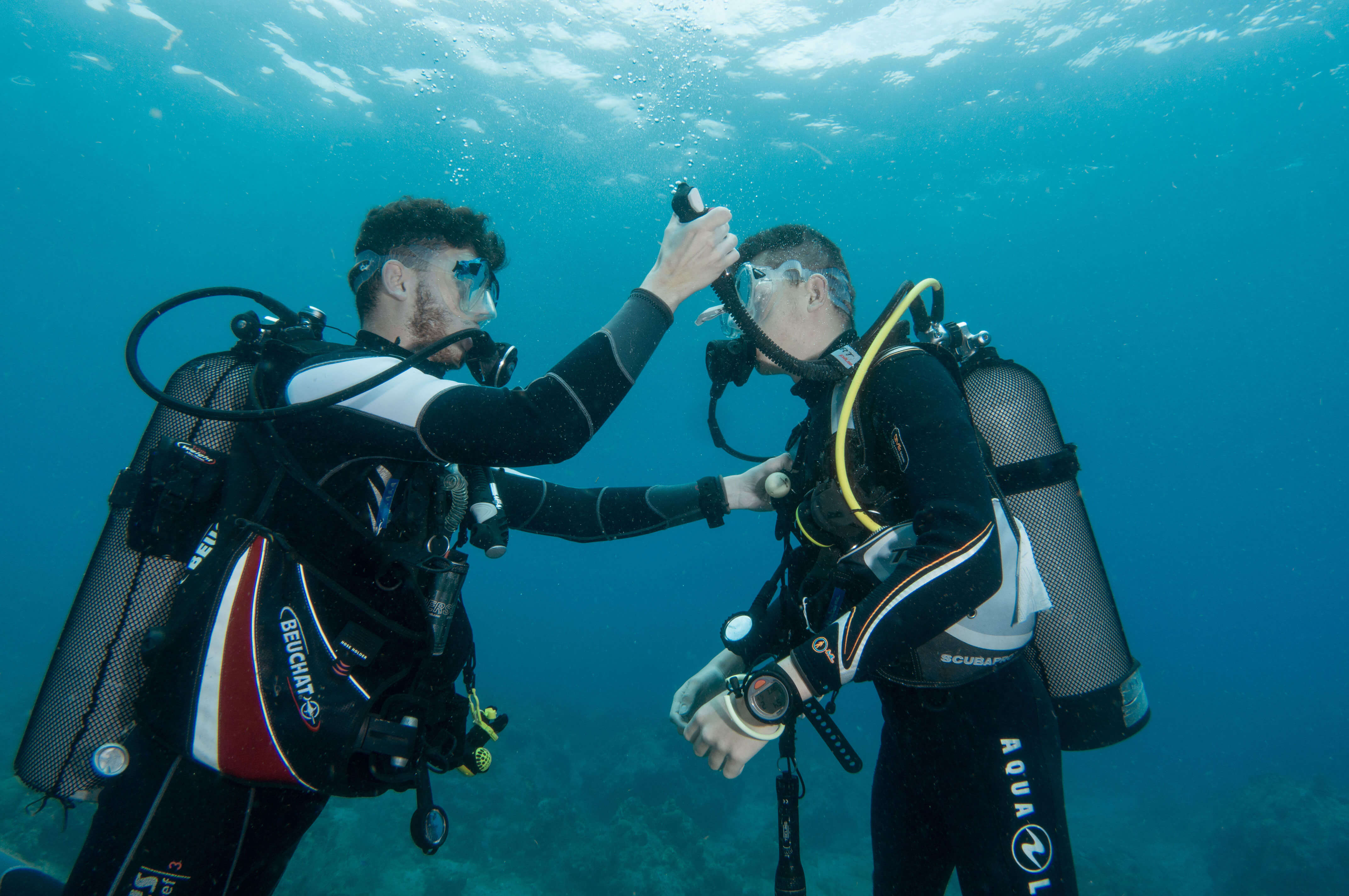 United Divers Egypt Safaga Formation Loisir FFESSM / CMAS / PADI