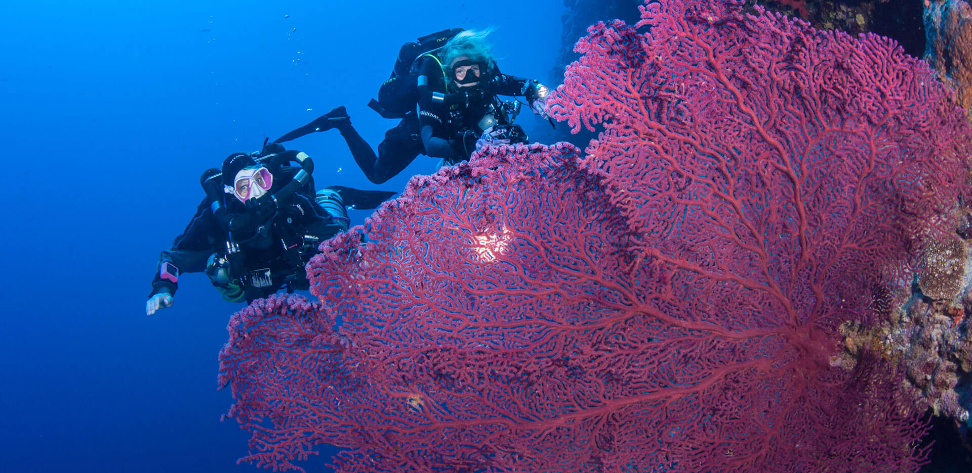 United Divers Egypt Safaga