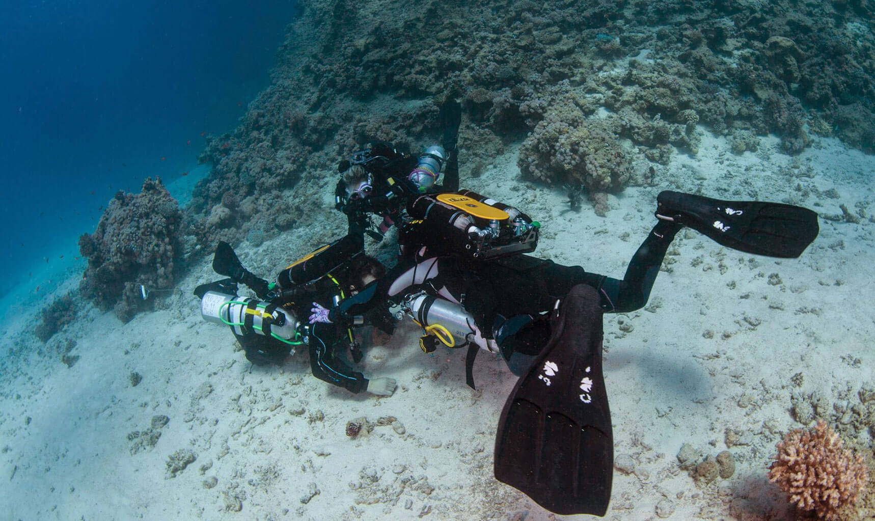 United Divers Egypt Safaga Formations Instructeur