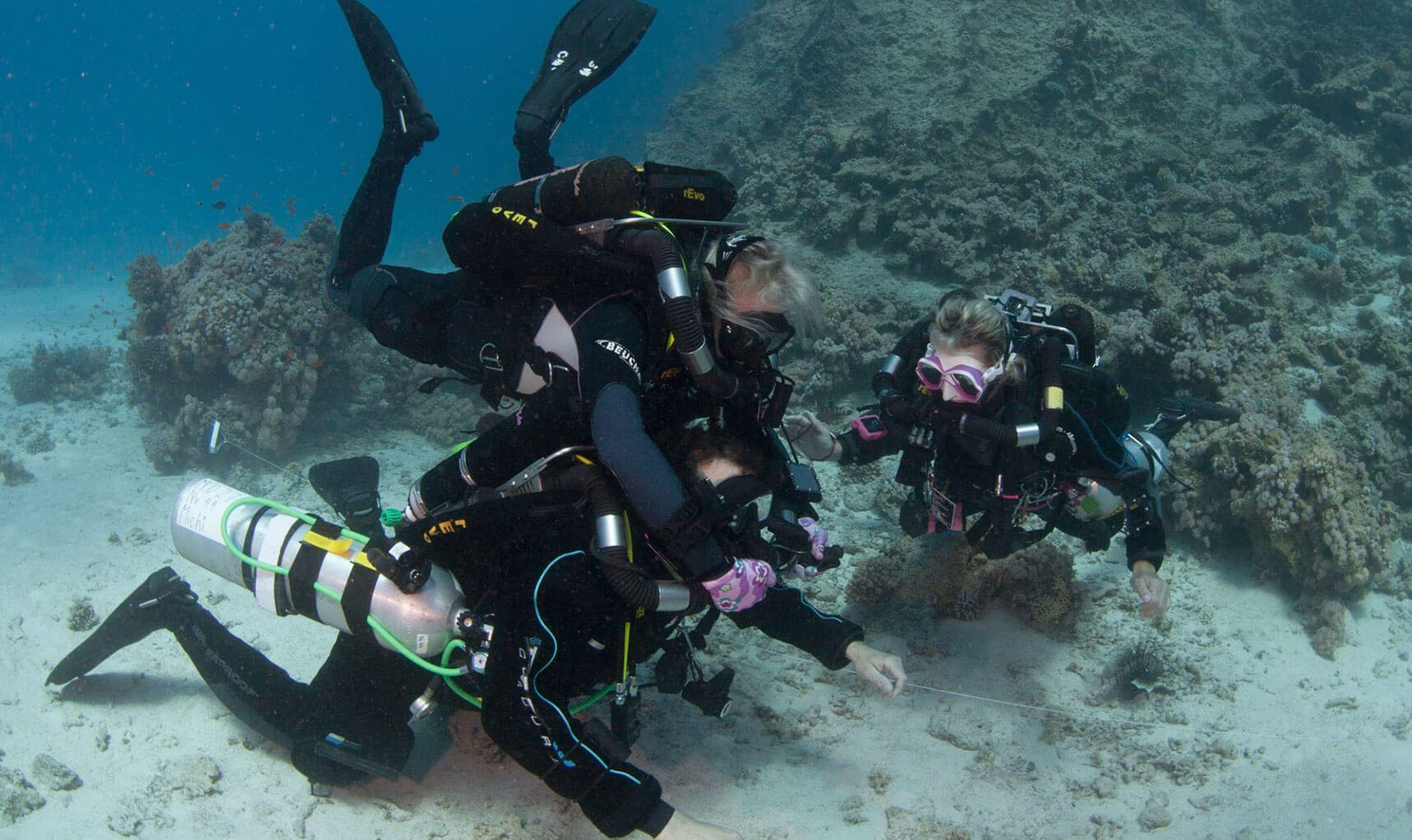 United Divers Egypt Safaga Formations Instructeur